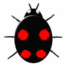 Harlequin Ladybird Photo Sculpture