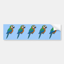 Harlequin Macaw Bumper Stickers