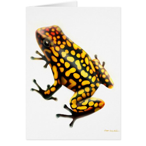 Harlequin Poison Dart Frog Card