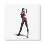 Harley magnets