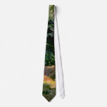 HARMONY in COLOR by SHARON SHARPE ties