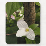 Harmony mousepad