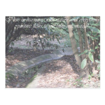 Harmony Postcards