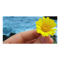 Harmony with Nature Photo Cards