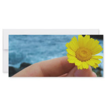 Harmony with Nature Rack Card Template