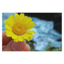 Harmony with Nature Custom Stationery