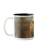 Harnas Wildlife Sanctuary, Namibia Mug