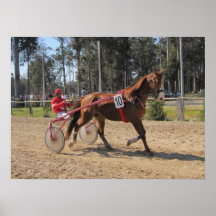 Harness racing Print