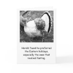 harold the Turkey Thanksgiving cards