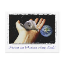HARP SEAL Earth Day Postcards