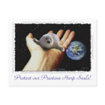 HARP SEAL Earth Day Postcards