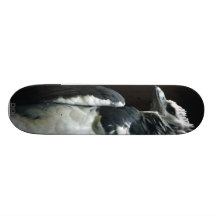 Harpy Eagle Skate Boards