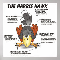 Harris Hawk Cartoon Print