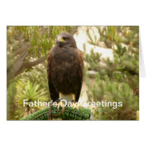 Harris Hawk Father's Day cards