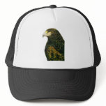 Harris Hawk Hat