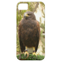 Harris Hawk casemate cases