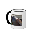 Harris' Hawk Coffee Mug