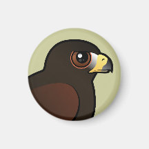 Harris Hawk Refrigerator Magnet