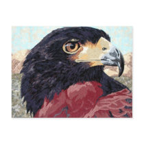 Harris Hawk textile Post Cards