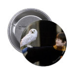 Harry and Hedwig 3 buttons
