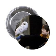 Harry and Hedwig 3 Pinback Button