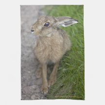 Harry Hare Kitchen Towel