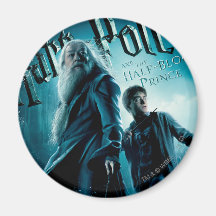 Harry Potter and Dumbledore on rocks 1 Refrigerator Magnets