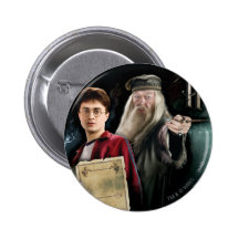 Harry Potter and Dumbledore Pin
