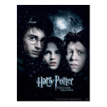 Harry Potter Movie Poster Postcards