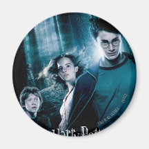 Harry Potter Ron Hermione In Forest Magnets