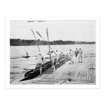 Harvard University Rowing Crew Team Photograph Post Cards