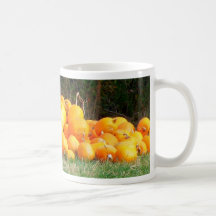 harvest 14 mugs