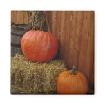 Harvest magnets