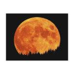 Harvest-Moon Postcard