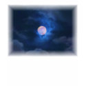 Harvest Moon t-shirts