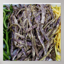 Harvest Of Beans Vegetable Print