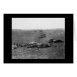 Harvest of Death at Gettysburg, PA 1863 Cards