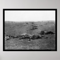 Harvest of Death at Gettysburg, PA 1863 Posters