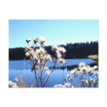 harvest postcards