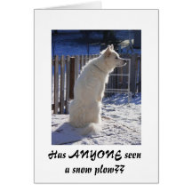Has ANYONE seen a snow plow?? Cards