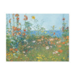 Hassam's "Poppies, Isle of Shoals" - Postcard
