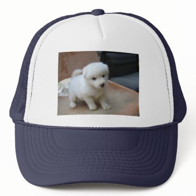 Hat by oddcast