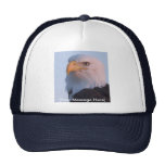 Hat / Bald Eagle