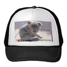 Hat for all staffordshire bull terrier lovers