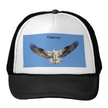 Hat/ showing an Osprey with outstretched wings.