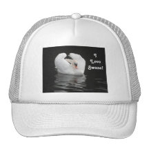 Hat Swan Swimming, I Love Swans