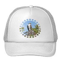 Hat Template - Customized