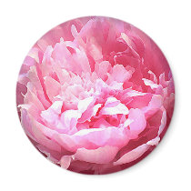 Hatched Pink Peony Refrigerator Magnet