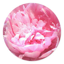 Hatched Pink Peony Stickers