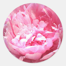 Hatched Pink Peony Stickers